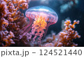 Close up image of jellyfish and coral reefs. 124521440