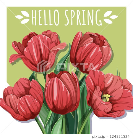 Square Spring Card with Red Tulips and Fresh Greenery. Floral Design for Mothers Day and Seasonal Celebrations. Perfect for Banners, Social Media. Vector Illustrations 124521524