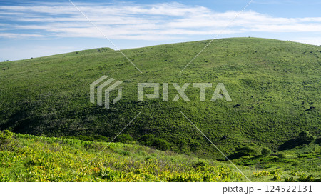長野県諏訪市　夏の車山高原 124522131