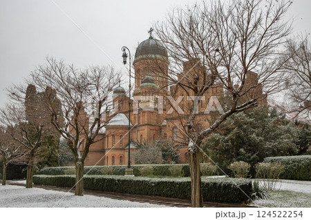 Chernivtsi National University Three Hierarchs Church in winter, Ukraine. Chernivtsi National University Three Hierarchs Church in winter, Ukraine. 124522254