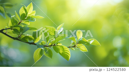 Spring background, green leaves of trees on a blurred light background - AI generated image 124522580