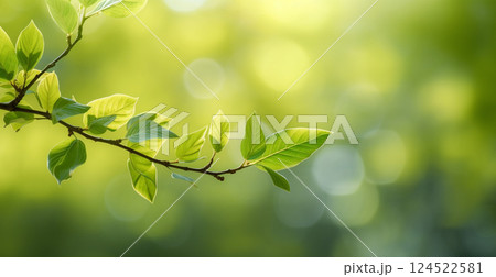 Spring background, green leaves of trees on a blurred light background - AI generated image 124522581