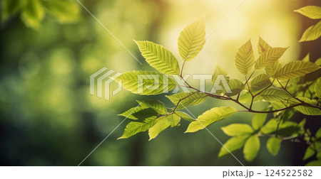 Spring background, green leaves of trees on a blurred light background - AI generated image 124522582