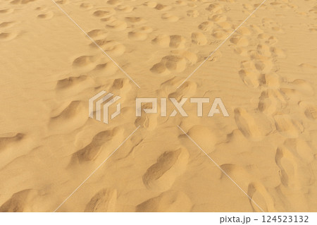 Many foot tracing, footstep on yellow desert sand, dunes. Nobody. Travel Destination, Vacation. Horizontal. 124523132