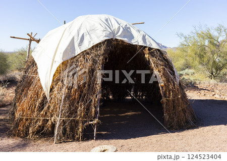 Native American Traditional Dwelling: Wigwam House, Home in Desert, Blue Sky and Bushes on Background. No People. Nature in USA. Building Structure.  124523404