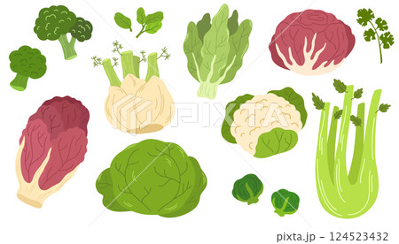 2058_vegetables_salate 124523432