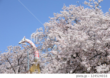 王子公園 124524018