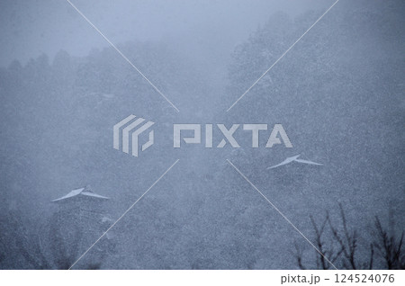 雪の三朝文殊堂 124524076