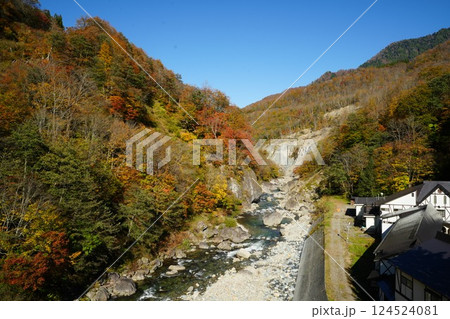 241104秋山郷切明橋 124524081