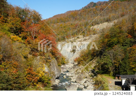 241104秋山郷切明橋 124524083