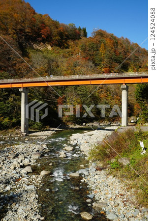 241104秋山郷切明橋 124524088