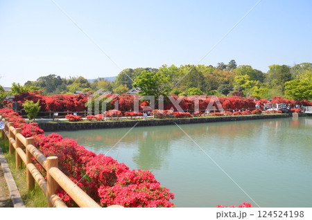 京都・長岡天満宮 京都・長岡天満宮 124524198