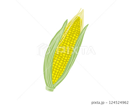夏野菜・トウモロコシ 夏野菜・トウモロコシ 124524962