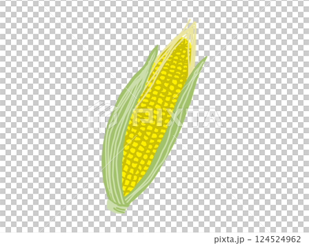 Summer vegetables and corn 124524962