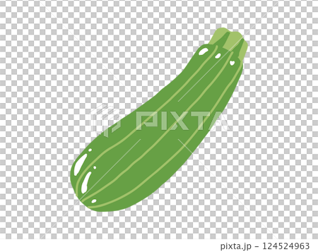 夏季蔬菜：西葫蘆 124524963