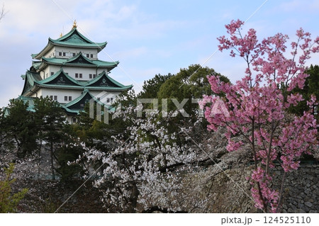 名城公園にて 名城公園にて 124525110