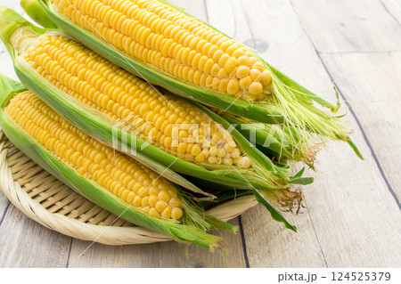 とうもろこし　ゴールドラッシュ 124525379