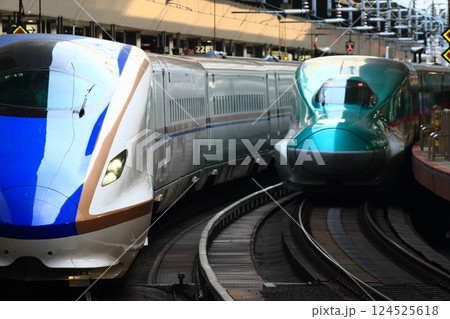 はやぶさとかがやき 東京駅で並ぶ東北新幹線と北陸新幹線 はやぶさとかがやき 東京駅で並ぶ東北新幹線と北陸新幹線 124525618
