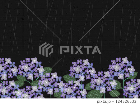 あじさい、背景、梅雨、セロハン、黒、紫、横 あじさい、背景、梅雨、セロハン、黒、紫、横 124526332