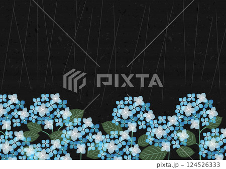 あじさい、背景、梅雨、セロハン、黒、青、横 あじさい、背景、梅雨、セロハン、黒、青、横 124526333
