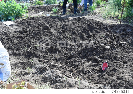 畑の土作り 124526831