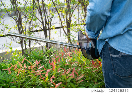 Woman taking care and growing plants, Hobby planting home garden, ornamental pruning. 124526853