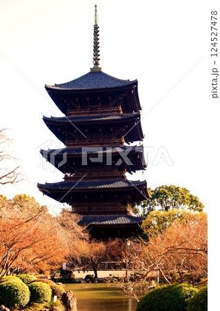 京都府 東寺・五重塔(国宝) 京都市 南区 九条町 2022年2月 京都府 東寺・五重塔(国宝) 京都市 南区 九条町 2022年2月 124527478