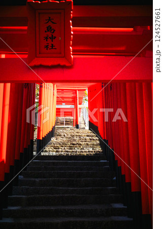 広島県三原市にある大島神社の連立鳥居の風景 広島県三原市にある大島神社の連立鳥居の風景 124527661