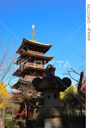 Traditional Japanese Pagoda with Bare Trees, Tokyo Dec 10 2024 Traditional Japanese Pagoda with Bare Trees, Tokyo Dec 10 2024 124527728