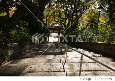 Traditional Torii Gate in a Japanese Shrine Surrounded, Tokyo Dec 10 2024 Traditional Torii Gate in a Japanese Shrine Surrounded, Tokyo Dec 10 2024 124527729