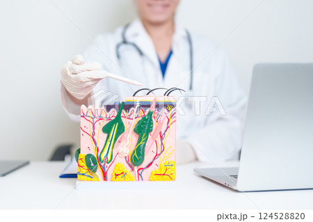 Dermatologist with anatomy model of human skin with hair. Doctor show structure of Skin, Skin disease and Hair loss. Health care, Dermatology treatment, Cosmetic surgery and Beauty consultation clinic 124528820