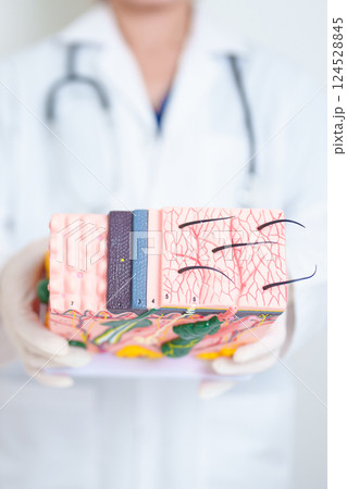 Dermatologist hand holding anatomy model of human skin with hair. Skin disease and Hair loss. Health care, Melanoma and skin cancer, Insurance, Dermatology treatment and Beauty consultation clinic Dermatologist hand holding anatomy model of human skin with hair. Skin disease and Hair loss. Health care, Melanoma and skin cancer, Insurance, Dermatology treatment and Beauty consultation clinic 124528845