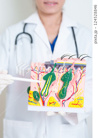 Dermatologist hand holding anatomy model of human skin with hair. Skin disease and Hair loss. Health care, Melanoma and skin cancer, Insurance, Dermatology treatment and Beauty consultation clinic 124528846