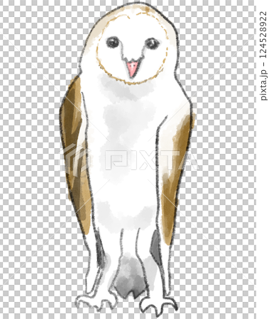 手繪風格的穀倉貓頭鷹插圖 124528922