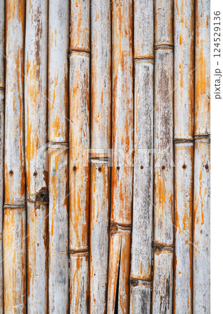 bamboo dry fence background texture with pattern bamboo dry fence background texture with pattern 124529136