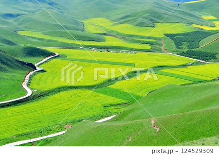 Photo of a road in a valley of alpine grasslands Photo of a road in a valley of alpine grasslands 124529309