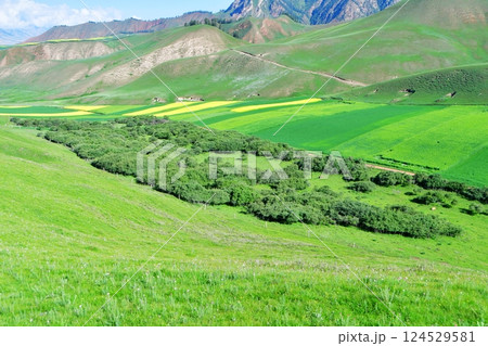 Photo of the mountains and valleys of Qilian Mountains, Qinghai Province, China Photo of the mountains and valleys of Qilian Mountains, Qinghai Province, China 124529581