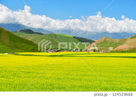 Photo of the mountains and valleys of Qilian Mountains, Qinghai Province, China 124529688