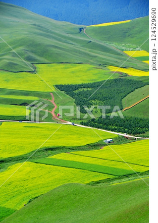 Photo of the mountains and valleys of Qilian Mountains, Qinghai Province, China 124529690