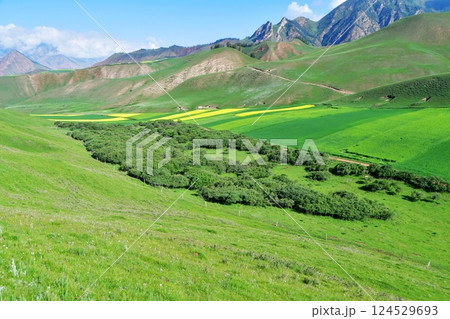Photo of the mountains and valleys of Qilian Mountains, Qinghai Province, China Photo of the mountains and valleys of Qilian Mountains, Qinghai Province, China 124529693