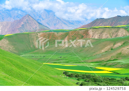 Photo of the mountains and valleys of Qilian Mountains, Qinghai Province, China Photo of the mountains and valleys of Qilian Mountains, Qinghai Province, China 124529758