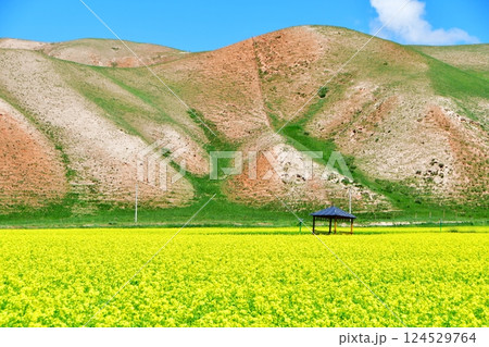 Photo of the mountains and valleys of Qilian Mountains, Qinghai Province, China Photo of the mountains and valleys of Qilian Mountains, Qinghai Province, China 124529764