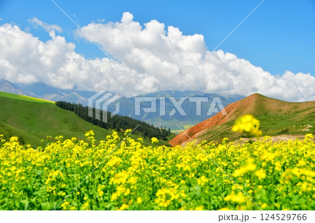 Photo of the mountains and valleys of Qilian Mountains, Qinghai Province, China Photo of the mountains and valleys of Qilian Mountains, Qinghai Province, China 124529766