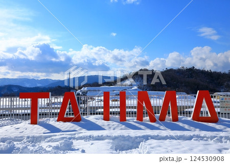 コウノトリ但馬空港 雪景色 コウノトリ但馬空港 雪景色 124530908