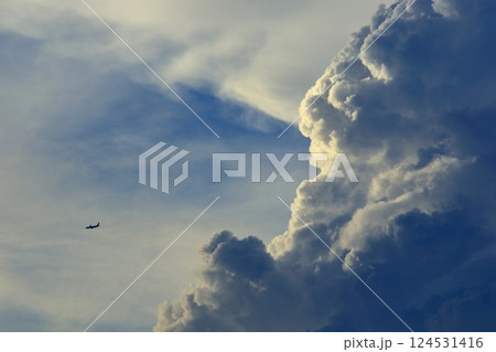 積乱雲と飛行機 積乱雲と飛行機 124531416