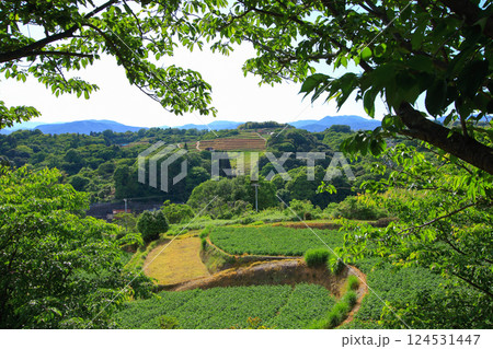 ジャガイモ畑がある里山風景 124531447