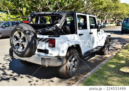 ハワイの休日 124531499