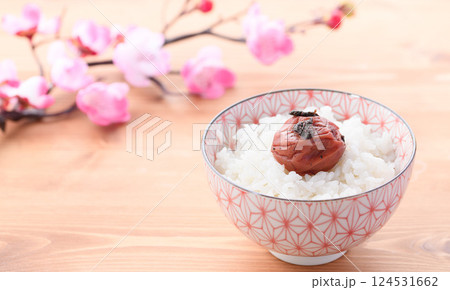 かつお梅 紀州南高梅 ( 梅干し ) かつお梅 紀州南高梅 ( 梅干し ) 124531662