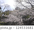さくらまつり 124531681