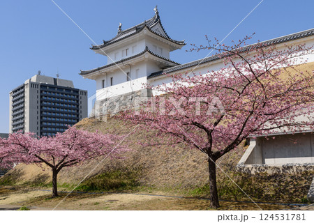 宇都宮城址公園の河津桜（栃木県宇都宮市、3月撮影） 124531781